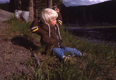 Yellowstone Nat'l Park, 1982