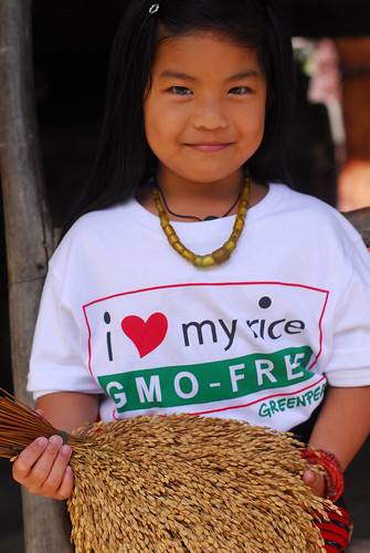 Ifugao Rice Terraces declared GMO-Free Zone