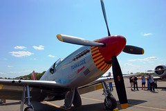 A Tribute To The Tuskegee Airmen