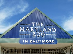 Maryland Zoo in Baltimore