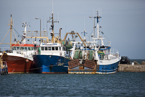 Fishing Fleet - Howth by infomatique