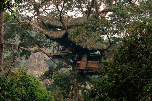 Our treehut in the jungle by Christian Haugen