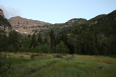 Timp Hike 2009