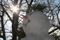 20090207 - Snowman