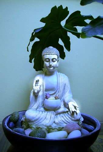 Buddha statue in the abhaya mudra, plant, rocks, sea urchin shells, bowl, Nelson, New Zealand by Wonderlane