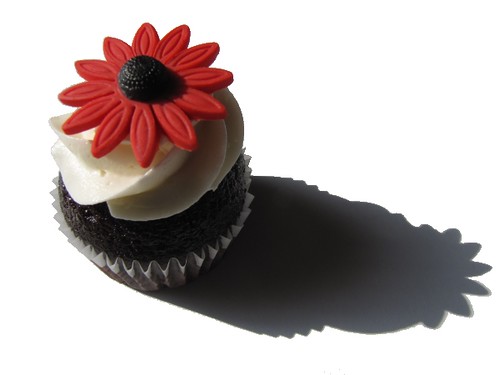 Red and Black Gerbera Daisy Cupcake Chocolate cupcake with vanilla 
