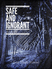 Safe and Ignorant novella cover
