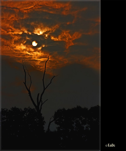 (0084) Sonne in der Nacht - Sun at night by EnDe53