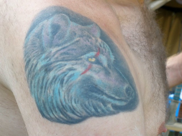 Wolf Tattoo Tattoo on a guy I met in the park today at the Harvest 