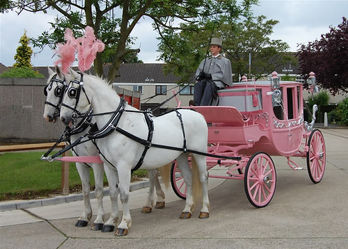 Pink Horsedrawn Carriage for Pink Weddings