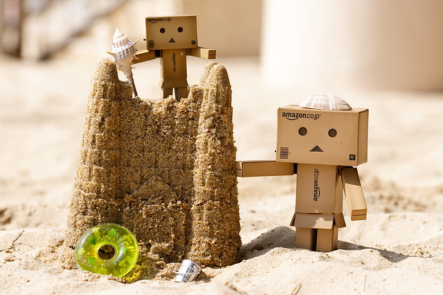 Danboard Castle Danboards constructed a nice sand castle on the beach