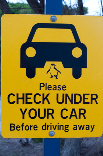 Driving in Australia - don't hit the penguins sign!