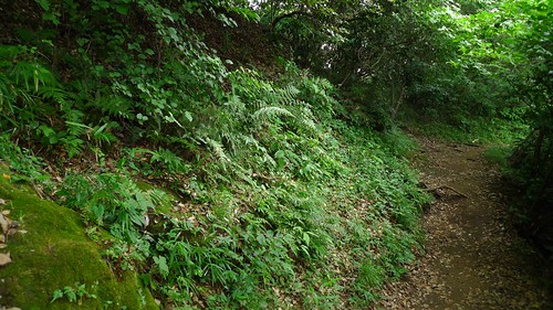 Ten'en Hiking Trail