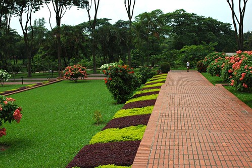 Garden paths, flowering trees, purple pink and green, জাতীয় স্মৃতি সৌধ Jatiyo Smriti Soudho Independence memorial park, Savar, Dhania, Dhaka, Bangladesh by Wonderlane