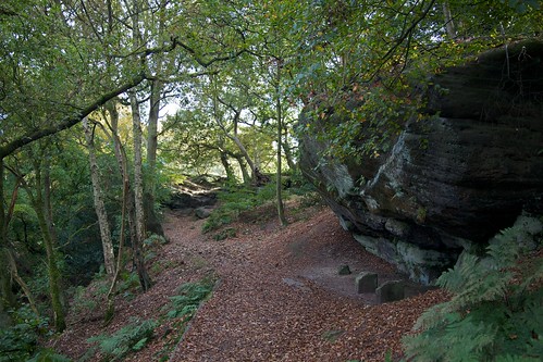 Alderley Edge woodland path