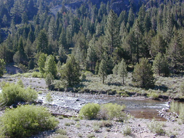 Silver Creek CA