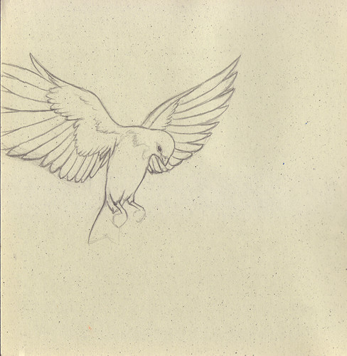 bird sketch