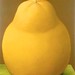 Botero, Fernando (1932- ) - Pear