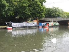 views of the kennet & avon canal