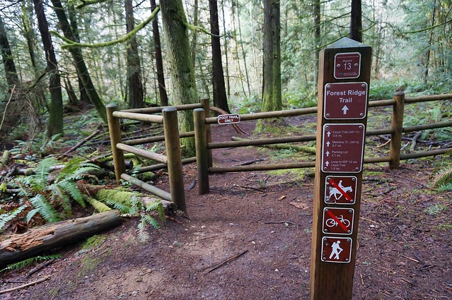 forest ridge trail