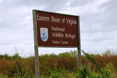 Eastern Shore of Virginia National Wildlife Refuge