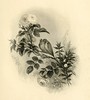 009-Flores-The gallery of engravings (Volume 1) 1848 by ayacata7