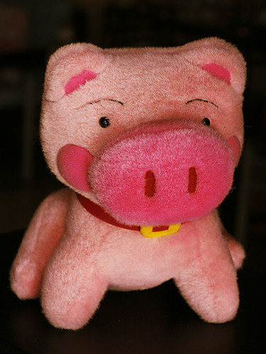 Sunny Pig