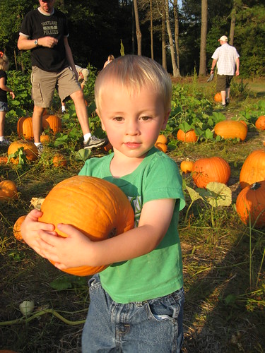 Picking a Pumpkin