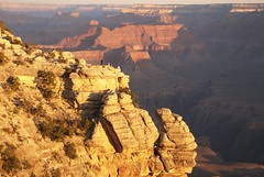 Grand Canyon 2008-2009
