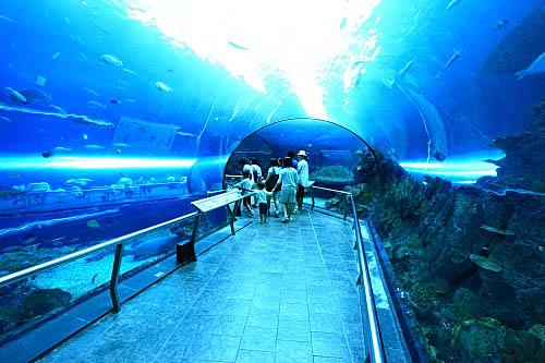 6T91海生館-珊瑚王國-海底隧道