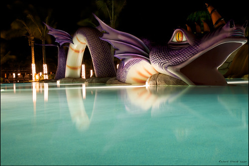 There's a Dragon in My Pool