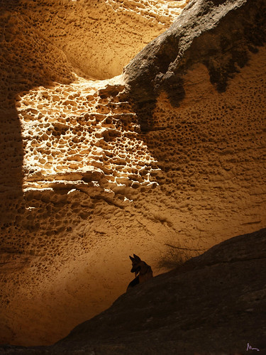 La cueva del lobo. Cueva de la Horadada, Monte Arabí. Yecla. España