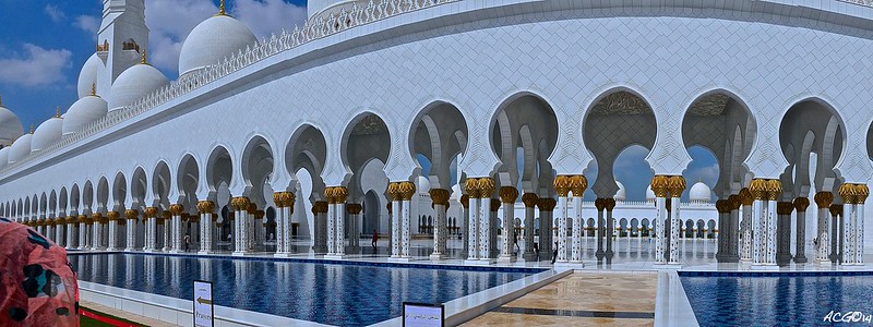 ¡Dubai, a la caza del Record Guinness! - Blogs de Emiratos A. U. - Mezquita de Abu Dhabi, Ferrari World y las fuentes de Dubai Mall (10)