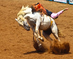 International Youth Finals Rodeo