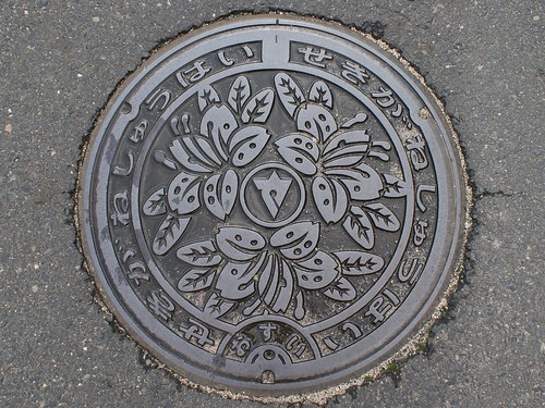 Sekigane town Tottori pref manhole cover（鳥取県関金町のマンホール）