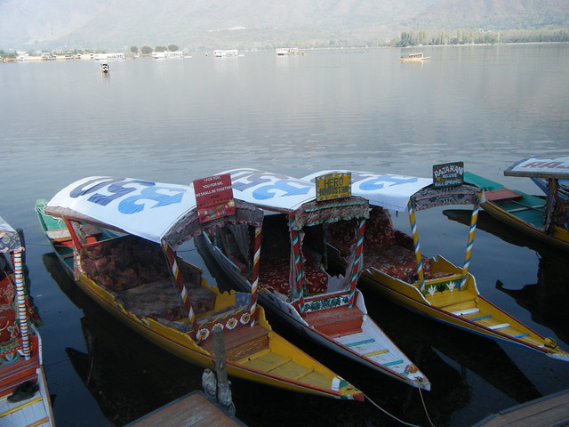 Boats on Dal Lake, India