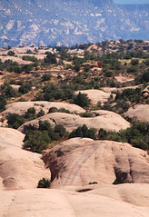 Moab: Sand Flats Recreation Area