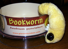 365 Bookworms