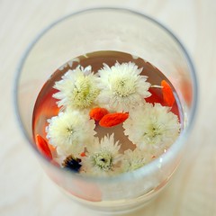 Chrysanthemum and Goji Berry Tea