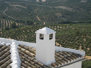 Una chimenea blanca contra el mar de olivos