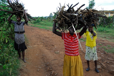 Children gathering firewood in Kenya