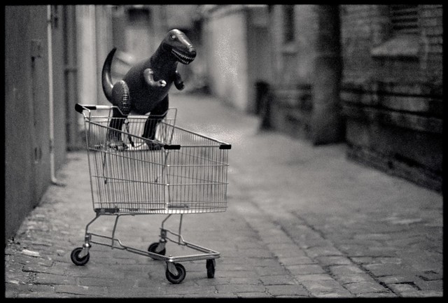 Dinosaur in shopping cart