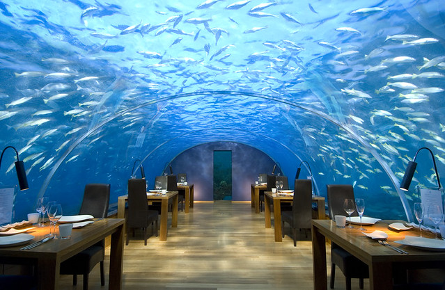 Ithaa ресторан под водой на Мальдивах