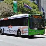 Transdev Brisbane