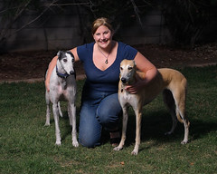 Racing Home Greyhound Adoption