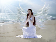 Angelic Images