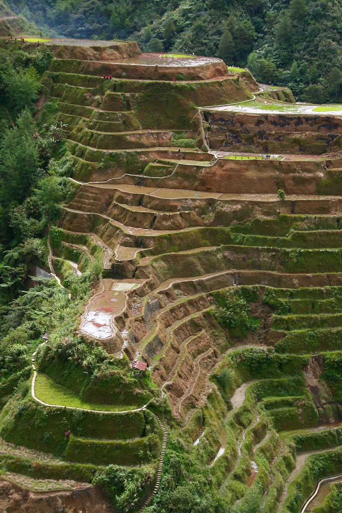 Banaue rice terrasses, Unesco world heritage