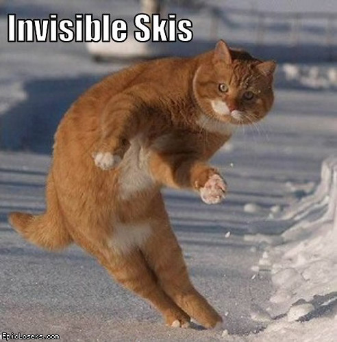 invisible-skis-lolcats-funny-cats-olypics-snow