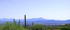Apr 24th, 2010 - Arizona-Sonora Desert Museum