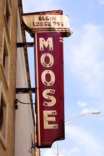 Moose Lodge-Elgin, IL by William 74